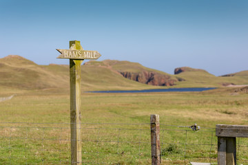 Muckle Roe