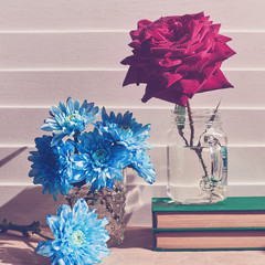 A fresh red rose with drops on the petals is in a glass jar on a stack of books. Nearby is a bouquet of blue chrysanthemums. White wooden background