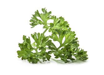 Parsley isolated on white background