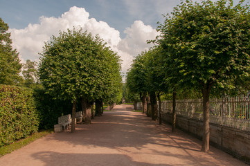 Tree lined path