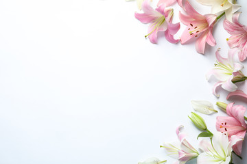 Flat lay composition with beautiful blooming lily flowers on white background - obrazy, fototapety, plakaty