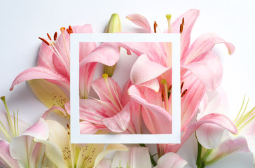 Composition with beautiful blooming lily flowers and frame on white background