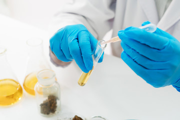 Marijuana research in the lab