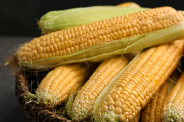 Basket with tasty sweet corn cobs, closeup