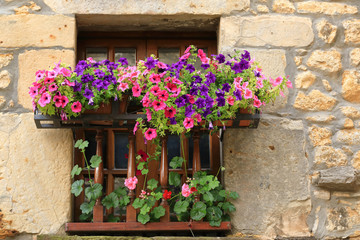 Fototapeta na wymiar A window with potted flowers