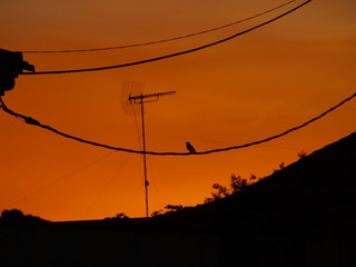 paisaje urbano al atardecer