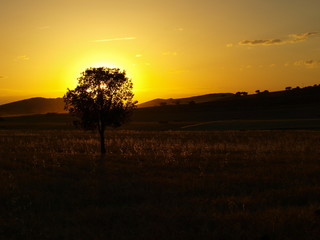 ultimos rayos de sol