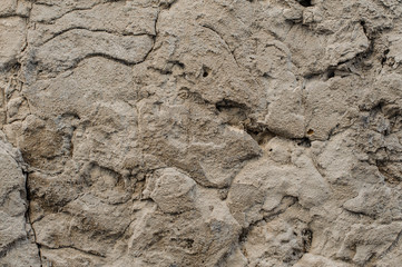 Grey wall rustic textured background with a different convexities