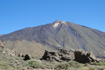 Teneriffa,Vulkan,Palmen,Schildkröte,Teneriffa,Pflanzenwelt