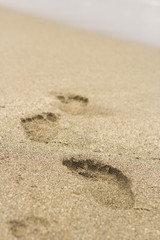 Fototapeta na wymiar Human Feet Prints In Sand On The Beach On Corsica 