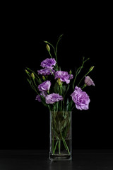 Vase with beautiful Eustoma flowers on table against dark background