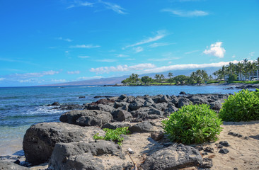 Fototapeta na wymiar Lava beach near Kona Hawaii