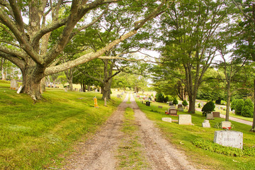 Fototapeta na wymiar Old Road through a County Cemetery