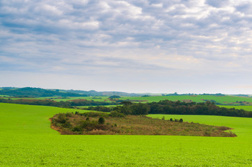Fototapeta na wymiar Beautiful landscape of green field and cloudy sky