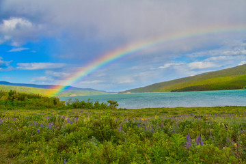Naklejka premium A Rainbow over a Lake and Prairie