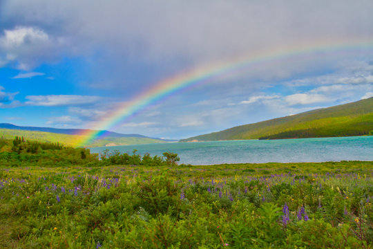 A Rainbow over a Lake and Prairie