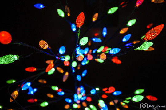 Luces