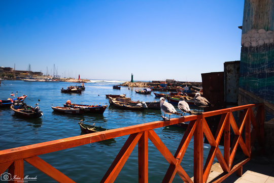 Caleta