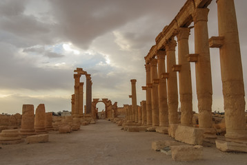 Palmyra, Syria. Year 2008