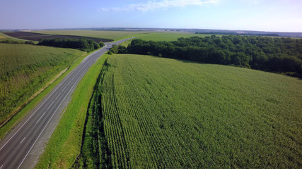 Fototapeta na wymiar Empty road for cars aerial view from top around green nature