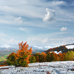Amazing scene on autumn mountains. First snow and orange trees in fantastic morning sunlight. Carpathians, Europe. Landscape photography
