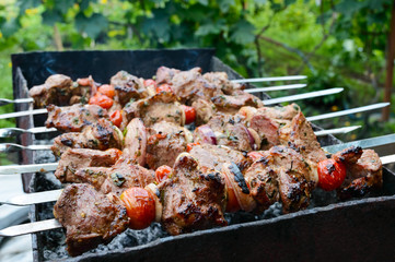 Juicy shish kebab from pork, tomatoes on skewers, fried on a fire outdoor on a background of nature. Barbecue.