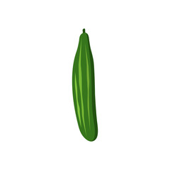 Colorful cucumber clipart cartoon. Cucumber vector illustration.