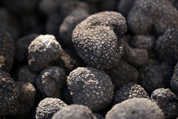 truffles, tartufi