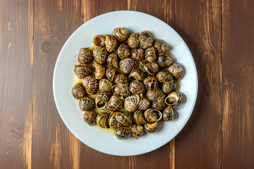 Tasty fried snails in white dish on brown wooden background.