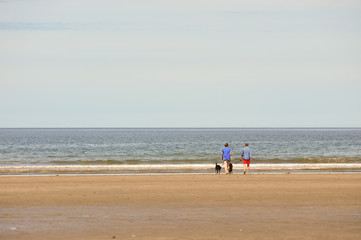 Fototapeta na wymiar People walking dogs on a beach