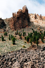 Landscape of Mount Teide National Park