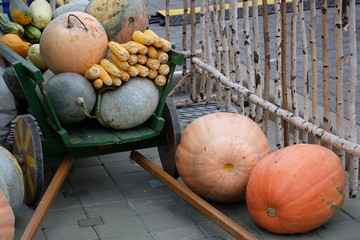 a cart with pumpkins, corn and zucchini at the autumn fair