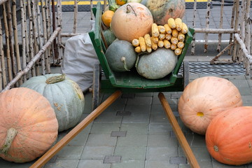 a cart with pumpkins, corn and zucchini at the autumn fair