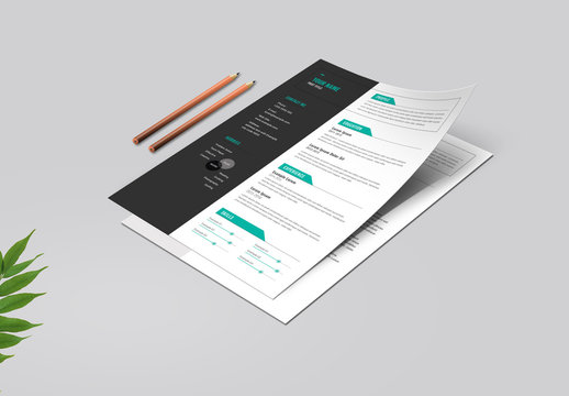 Resume Layout Set with Teal Tab Elements