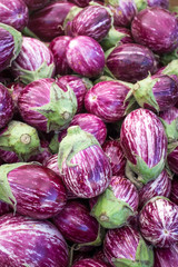 Fototapeta na wymiar A large pile of small purple and white eggplants at the Clement Street Farmer's Market in San Francisco.