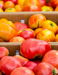Red and yellow tomatoes in cardboard boxes and the Clement Street Farmer's Market in San Francisco.