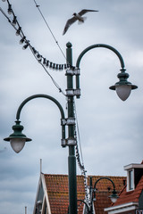 Street lamp in holland