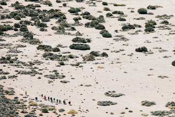 Desert and volcanic landscape with group of people on hiking walk