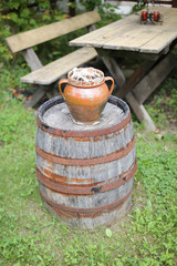 Obraz premium Clay pot filled with empty sea snails shells on a rusty old barrel