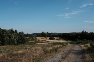 Fototapeta premium Heide Landschaft Trupbach