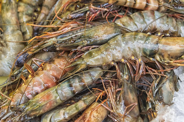 Raw tiger shrimps on ice. Seafood market. oncept of healthy diet
