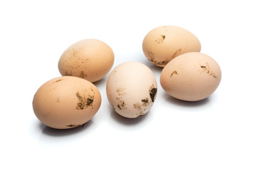 Group of dirty chicken eggs on white background, with shadows and reflections, domestic poultry and healthy food. Move object for increasing space and create place for text