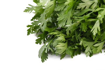 Fresh parsley isolated on a white background 
