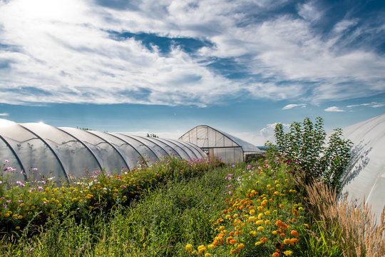 Folientunnel 이미지 – 찾아보기 473 스톡 사진, 벡터 및 비디오 | Adobe Stock