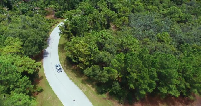 Aerial shot following a car driving on a winding road through a forest