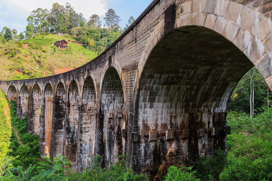 Bottom view of Nine Arch Bridge, the perfect example of the British railway construction, located in deep jungle of Demodara, Ella, Sri Lanka © bestforbest