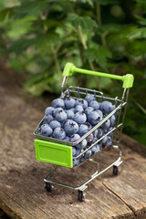 Trolley for products from the supermarket with blueberries in the garden on a wooden table