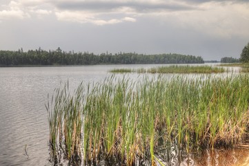 Superior National Forest is located in Minnesota
