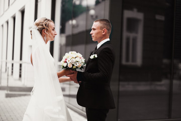 Wedding photo.Couple in love.Husband and wife