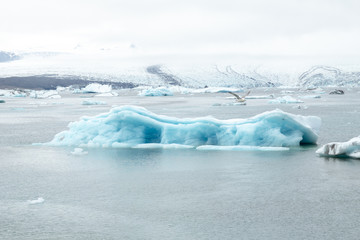 Icelandic icebergs